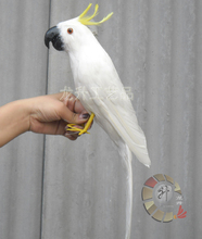 artificial feathers bird cacatua galerita about 43cm white parrot toy model home decoration Performing prop gift h1095 2024 - buy cheap