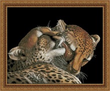 Top Quality premium lovely counted cross stitch kit licking leopards, leopard mate lick love 2024 - buy cheap