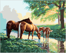 Cuadros decoracion home decor wall art 40x50cm pictures for living room oil painting on canvas Horse painting by numbers E028 2024 - buy cheap