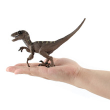 Juguetes clásicos de Parque Jurásico para niños, modelo de dinosaurio de plástico celoiraptor, juguetes de mobiliario, regalo, novedad de 2019 2024 - compra barato