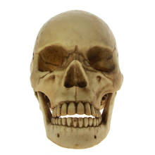 Halloween Horror Life Size 1:1 Dead Skull With Moving Jaw Skeleton Cranmiun Head with Movable Mandible Skull Cranium Sculpture 2024 - buy cheap