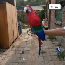 Guacamayo de simulación de pluma y espuma, modelo loro de vida real grande, regalo de pájaro, alrededor de 60cm, xf0216 2024 - compra barato