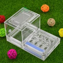 16*10*8.5cm moisture with feeding area ant nest ,ant farm acryl, insect ant nests villa new pet advanced mania for house ants 2024 - buy cheap