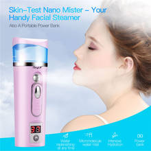 Nano Facial Mister Skin Care Test Mist Sprayer Portable Atomization Rechargeable Cool Face Hydratorl Steamers Power bank 34 2024 - buy cheap