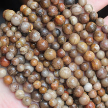 Smooth/Facetada/Matte 6-10mm xylopal Madeira Fóssil Natural pedra Redonda beads 15 ", para Fazer Jóias DIY! 2024 - compre barato