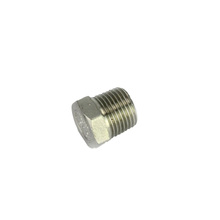 beer brewing HEX PLUG  1/2 INCH BSP STAINLESS 2024 - buy cheap