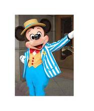 Top Quality EVA Helme Mouse mascot costume walking cartoon Apparel Birthday party 2024 - buy cheap
