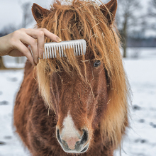Набор для чистки лошадей инструмент для ухода за лошадью гребень для лошади из алюминиевого сплава хвост гривы вытягивающий гребень металлический инструмент для ухода за лошадью домашних животных 2024 - купить недорого