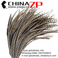 CHINAZP-plumas de faisán de Amherst Natural para mujer, 10 unidades/lote, gran tamaño 80-90cm(32-36 pulgadas), calidad de exportación 2024 - compra barato