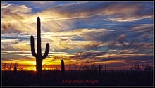 Bordado para bordado, diy, dmc francês de alta qualidade, kit de ponto cruz de contagem, 14 ct, pintura a óleo-halo do saguaro 2024 - compre barato