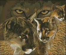Top Quality premium lovely counted cross stitch kit world of puma leopard, animal world 2024 - buy cheap