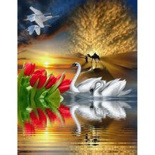 5d quadrado completo redondo diy pintura de diamante cisne ponto cruz bordado mosaico para casa casamento decoração presente de aniversário 2024 - compre barato