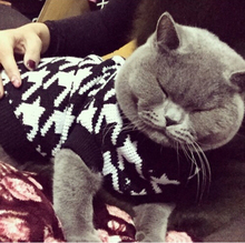 Classic Houndstooth Sweater For Small Cat Sweater Pet Jumper Coat Puppy Cat Clothes Ragdoll Canadian Hairless British Shorthair 2024 - buy cheap