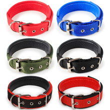 Fashion Solid Nylon Dog Collar For Small Medium Large Dogs Teddy  Pitbull Bulldog Beagle Supplies 2024 - buy cheap