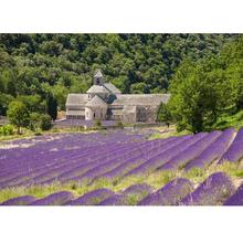 Casa fofinha de lavanda para fotografia, fundo de vinil para fotos, amantes de casamento, bebê, estúdio de fotografia 2024 - compre barato