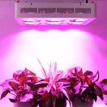 Alta Potencia 1200 w COB espectro completo Led Grow Light mejor Kit de luz hidropónica para un rendimiento máximo 2024 - compra barato