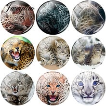 Jweijiao-cabochon de vidro para animais, leopardo, arte, imagem, faça você mesmo, 6 tamanhos para base pingente, acessórios para joias 2024 - compre barato