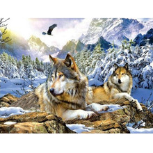 5D DIY круглая Алмазная вышивка животные волк картины Стразы Алмазная картина полностью квадратная вышивка крестиком украшение на стену 2024 - купить недорого