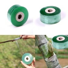 Self-adhesive Garden Flower Vegetable Grafting Tapes Supplies Plants Tools Nursery Grafting Tape Stretchable 1Roll 2CM x 100M 2024 - buy cheap