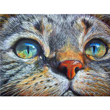 Pintura completa de diamante quadrado 3d bricolagem do diamante pintura "rosto do gato" bordado de diamante ponto de cruz imitação de mosaico fz104 2024 - compre barato