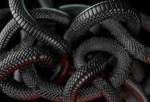 3d Snake Abstract black backgrounds Vinyl cloth High quality Computer print wall backdrops 2024 - buy cheap