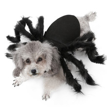 Fantasia de cão para cães pequenos, fantasia de halloween para cães pequenos, cães aranha, cão, roupa de horror, pernas longas de pele, fantasia engraçada para gato chihuahua jakie 2024 - compre barato