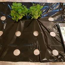 5 50 50m 0.02mm agricultura plantas vegetais com efeito de estufa cobrir filme plástico preto perfurado manter quente anti grama filme de cobertura de plástico 2024 - compre barato