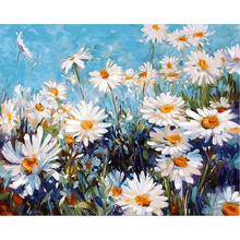 Картина по номерам DIY, Прямая поставка, 40x50, 50x65 см, белая хризантема, синий цветок, холст, свадебное украшение, художественное изображение, подарок 2024 - купить недорого