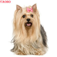 Full Square/Round Drill 5D DIY diamond painting dogs Cute Yorkshire Terrier Mosaic Diamond Embroidery Cross Stitch Home Decor 2024 - buy cheap