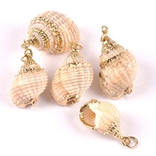 Natural beige Spiral Shell Gold Plated for earring DIY handmade Brown charms pendant SeaShells Home decoration 5pcs TRS0271 2024 - buy cheap