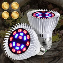 CanLing E27 LED Phyto Lamp E14 LED Full Spectrum Fitolampy 20W Indoor Plant Grow Tent Box Plant Light 220V LED Seed Grow Bulb 2024 - buy cheap