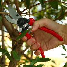 Conjunto de ferramentas para jardim, contém tesoura e cortador de árvores frutíferas, ferramenta de corte e 2 lâminas 2024 - compre barato