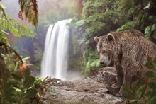 Rain Forest Jungle Mowgli-fondos de fotografía de cascada de oso Tropical, impresión por ordenador para niños, telón de fondo para niños 2024 - compra barato