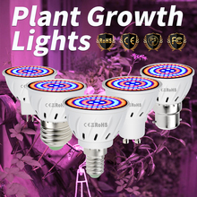 Lâmpada led e27 para cultivo, 220v, e14, espectro completo para plantas, gu10, fitolampy, mr16, b22, lâmpada de cultivo 48 60 80leds 2024 - compre barato