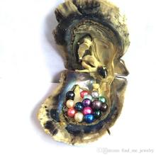 15 Colored Round Pearls in Saltwater Oysters,Akoya Mini Monster Oysters with 15 Pearls inside Random Mix Colors Xmas Gift ABH903 2024 - buy cheap