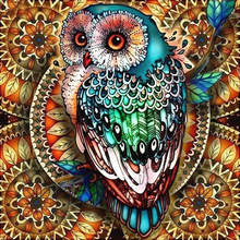 Full Square/Round Diamond Mosaic Abstract Owl Diamond Painting Animal Diamond Embroidery Cross Stitch Picture Of Rhinestones 2024 - buy cheap