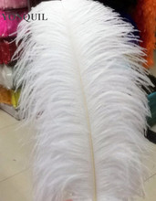 White And Black 20"-22"/50-55CM Ostrich Feathers Plumage Flapper Dresses For Craft /DIY Accessories 20Pcs/Lot 2024 - buy cheap