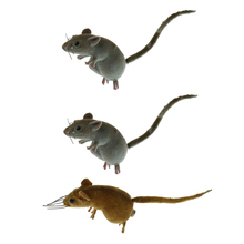 3x arcilla Animal ratones ratón césped estatuilla Juguetes DIY Micro adorno de paisaje Patio Decoración 2024 - compra barato