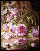 Needlework for Embroidery DIY French DMC High Quality - Counted Cross Stitch Kits 14 ct Oil painting - Blairie Roses 2024 - buy cheap