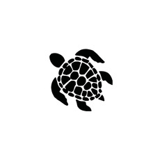 Pegatina de tortuga marina, pegatina para ventana de coche, parachoques, cuerpo, playa, Hawái, mar, Tortuga, A32 2024 - compra barato