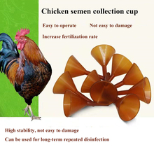 Chanticleer-taza de recolección de espermas para cría de pollos, inseminación artificial de plástico, uso repetido, 5 uds. 2024 - compra barato