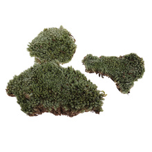 1/35 Scale Moss Lichen Model  Ground Grass Lawn for Diorama  for architecture scenery building  Sand Table Moss Lichen Model 2024 - buy cheap