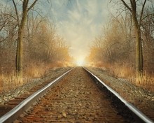 Naturaleza al aire libre vías de ferrocarril árbol telón de fondo de alta calidad impresión por ordenador foto de boda Fondo de estudio 2024 - compra barato