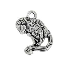 my shape 10pcs antique silver plated single side tamarin monkey animal 21*22 mm charms 2024 - buy cheap