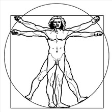 LEONARDO DA VINCI VITRUVIAN MAN vinyl wall art sticker decal Living Room Bedroom Wall Decals school Mural adesivo de parede D507 2024 - buy cheap