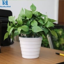 NuoNuoWell Artificial Green Radish Office Desk 30cm Bonsai Green Plant With White Pot Home Table Ornament High Simulation 2024 - buy cheap