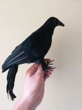 Gran pájaro cuervo negro de 30cm, juguete de utilería para Halloween, modelo de decoración para el hogar, regalo h1007 2024 - compra barato