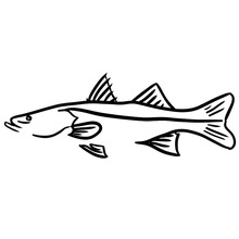 15.2*5.7CM Funny Fish Snook Animal Window Decals Car Styling Personality Decorative Stickers Black/Silver C6-1297 2024 - buy cheap