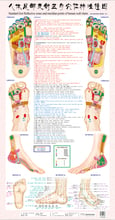 Standard foot reflective zones and meridian points of human wall charts, foot massage 2024 - buy cheap