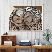 Partial Square/Round Drill 5D DIY Diamond Painting "Love Owl" Embroidery Cross Stitch 5D Home Decoration Gift 2024 - buy cheap